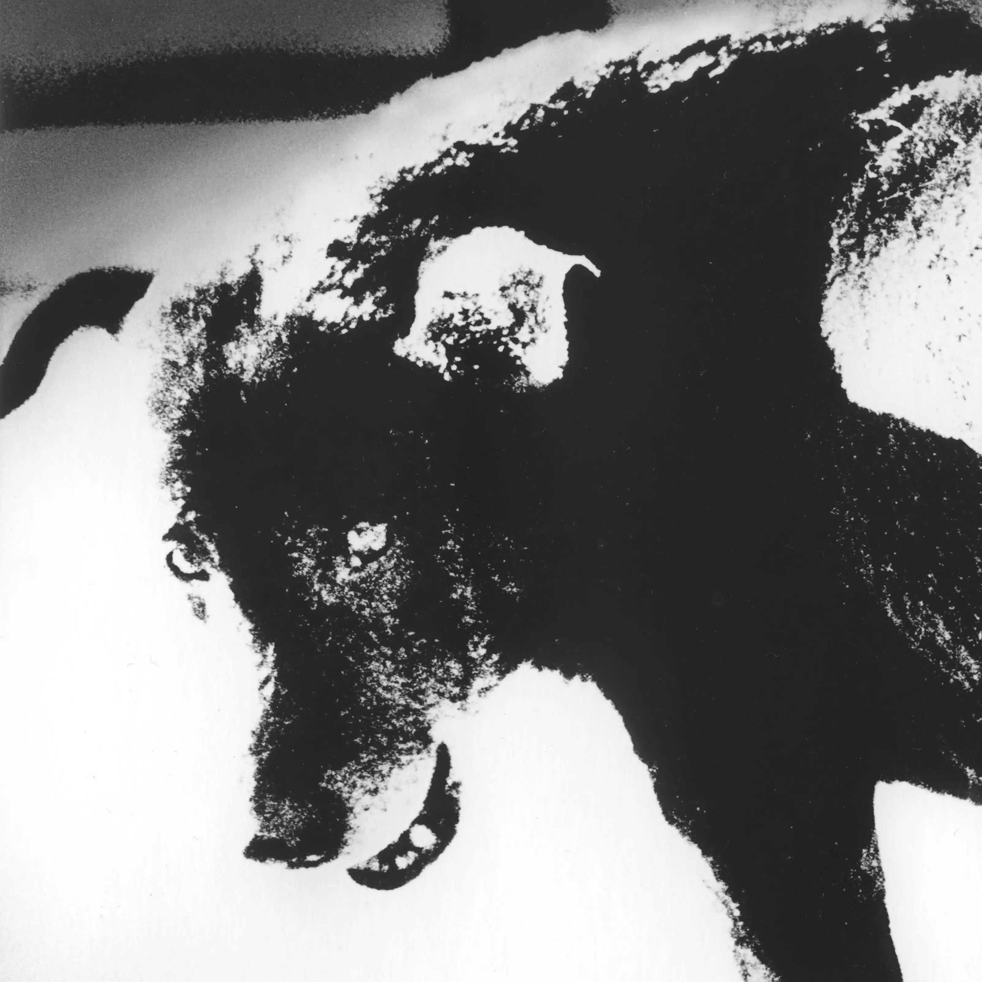 The Magnum Square Print Sale 2026, in collaboration with The